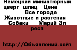 Немецкий миниатюрный(цверг) шпиц › Цена ­ 50 000 - Все города Животные и растения » Собаки   . Марий Эл респ.